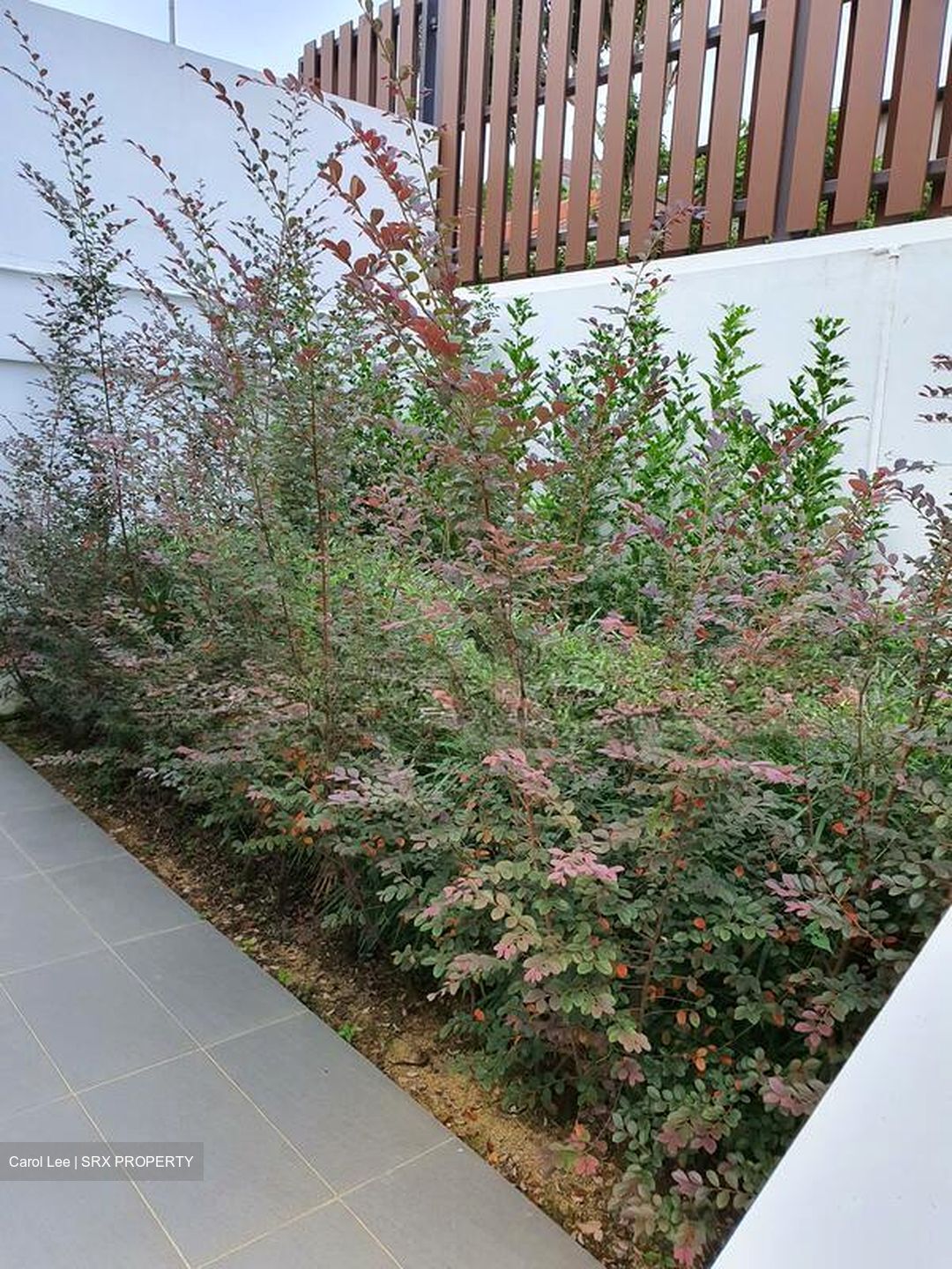 Changi South Lane (D16), Semi-Detached #501741551